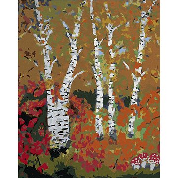 

Diamondi - BŘÍZY NA PODZIM, 40x50 cm, vypnuté plátno na rám
