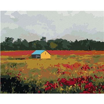 

Diamondi - DOMEK A VLČÍ MÁKY, 40x50 cm, bez rámu a bez vypnutí plátna