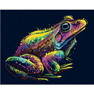 

Diamondi - BAREVNÁ ŽÁBA, 40x50 cm, bez rámu a bez vypnutí plátna
