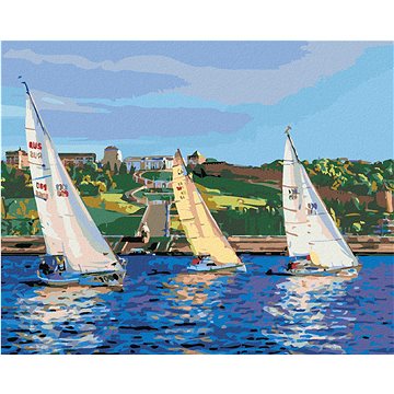 

Diamondi - PLACHETNICE VE VLNÁCH, 40x50 cm, vypnuté plátno na rám