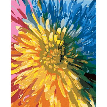 

Diamondi - DUHOVÁ KVĚTINA, 40x50 cm, vypnuté plátno na rám