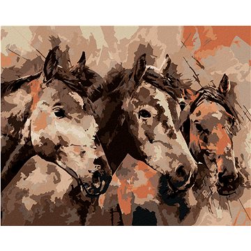 

Diamondi - MALOVANÍ KONĚ V HNĚDÉ, 40x50 cm, bez rámu a bez vypnutí plátna