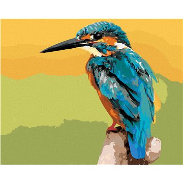 

Diamondi - PTÁK LEDŇÁČEK, 40x50 cm, vypnuté plátno na rám