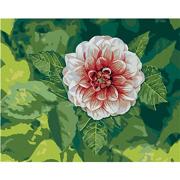 

Diamondi - JIŘINA MEZI LISTY, 40x50 cm, bez rámu a bez vypnutí plátna