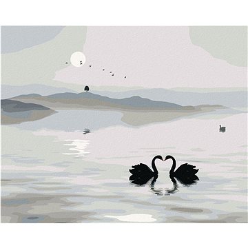 

Diamondi - LABUTÍ JEZERO, 40x50 cm, vypnuté plátno na rám