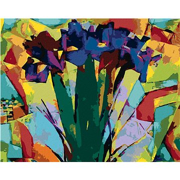 

Diamondi - ABSTRAKTNÍ KOSATCE, 40x50 cm, bez rámu a bez vypnutí plátna