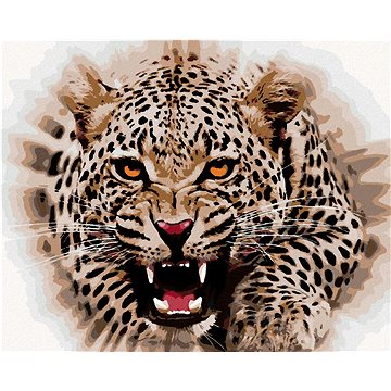 

Diamondi - JAGUÁR ÚTOČÍ, 40x50 cm, vypnuté plátno na rám