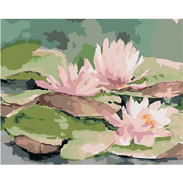 

Diamondi - RŮŽOVÉ JAPONSKÉ LEKNÍNY, 40x50 cm, vypnuté plátno na rám