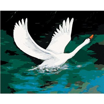

Diamondi - BÍLÁ LABUŤ NA ČERNÉM JEZEŘE, 40x50 cm, bez rámu a bez vypnutí plátna
