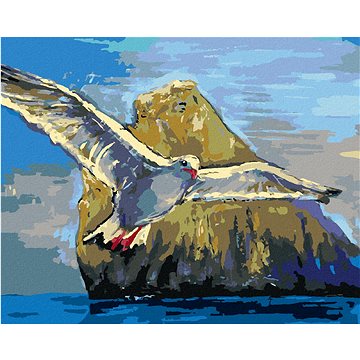 

Diamondi - RACEK LETÍCÍ KOLEM KAMENE, 40x50 cm, bez rámu a bez vypnutí plátna