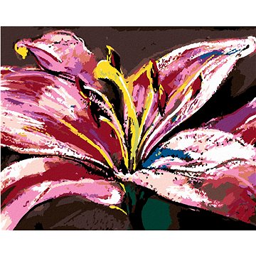 

Diamondi - VELKÁ RŮŽOVÁ LILIE, 40x50 cm, bez rámu a bez vypnutí plátna