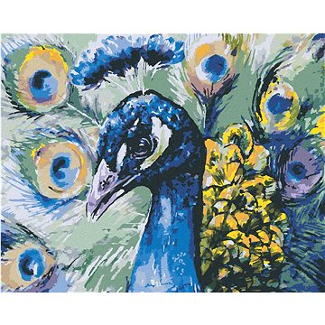 

Diamondi - PÁV, 40x50 cm, vypnuté plátno na rám