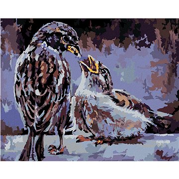 

Diamondi - KRMENÍ PTÁČKŮ, 40x50 cm, vypnuté plátno na rám