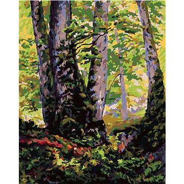 

Diamondi - TŘI BUKY (PAUL RANSON), 40x50 cm, bez rámu a bez vypnutí plátna