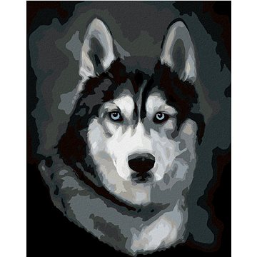 

Diamondi - Diamantové malování - HUSKY PORTRÉT, 40x50 cm, bez rámu a bez vypnutí plátna