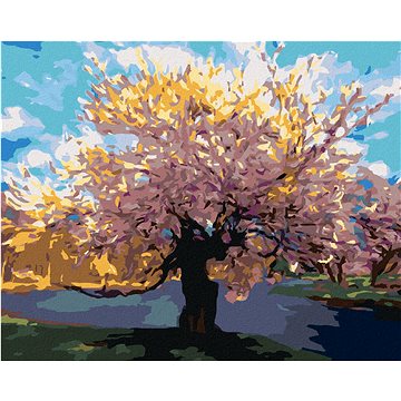 

Diamondi - SAKURA U POTOKA, 40x50 cm, bez rámu a bez vypnutí plátna