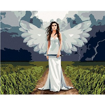 

Diamondi - ANDĚLSKÁ ŽENA A BOUŘE, 40x50 cm, bez rámu a bez vypnutí plátna
