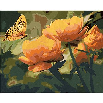 

Diamondi - MOTÝL A ORANŽOVĚ KVĚTINY, 40x50 cm, vypnuté plátno na rám