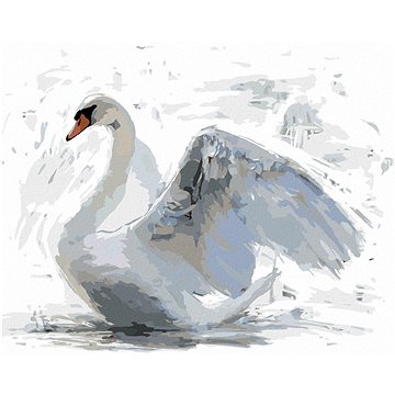 

Diamondi - BÍLÁ LABUŤ, 40x50 cm, bez rámu a bez vypnutí plátna