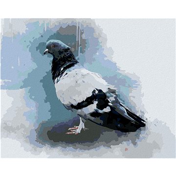 

Diamondi - HOLUB, 40x50 cm, vypnuté plátno na rám