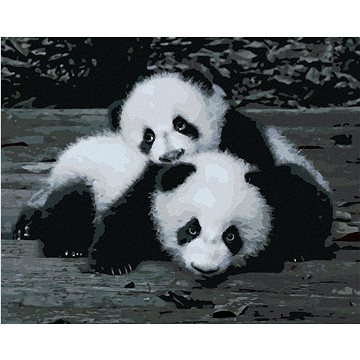 

Diamondi - PANDY V ZOO, 40x50 cm, vypnuté plátno na rám
