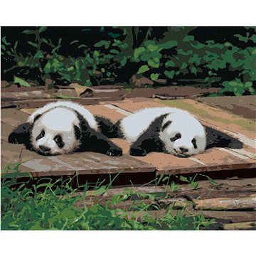 

Diamondi - PANDA LEŽÍCÍ NA DŘEVĚ, 40x50 cm, bez rámu a bez vypnutí plátna