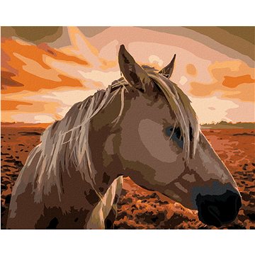 

Diamondi - KŮŇ PŘI ZÁPADU SLUNCE, 40x50 cm, bez rámu a bez vypnutí plátna