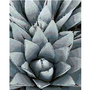 

Diamondi - KAKTUS AGAVE, 40x50 cm, bez rámu a bez vypnutí plátna