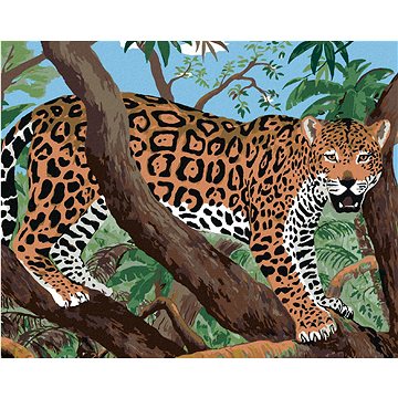 

Diamondi - JAGUÁR NA VĚTVI, 40x50 cm, vypnuté plátno na rám