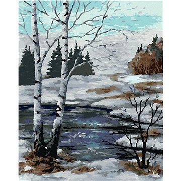 

Diamondi - BŘÍZY V ZIMNÍ KRAJINĚ, 40x50 cm, vypnuté plátno na rám