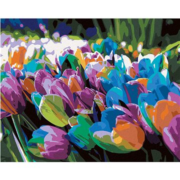 

Diamondi - Diamantové malování - DUHOVÉ TULIPÁNY, 40x50 cm, Vypnuté plátno na rám