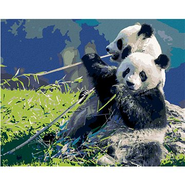 

Diamondi - PANDA A BAMBUS, 40x50 cm, bez rámu a bez vypnutí plátna
