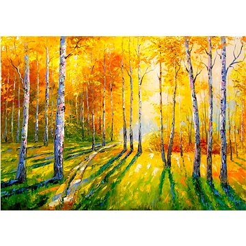 

ENJOY Puzzle Březový háj 1000 dílků
