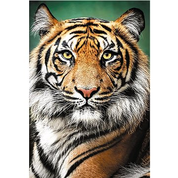 

Trefl Puzzle Tygří portrét 1500 dílků