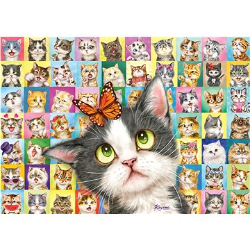 

Schmidt Puzzle Kočičí výrazy 1000 dílků