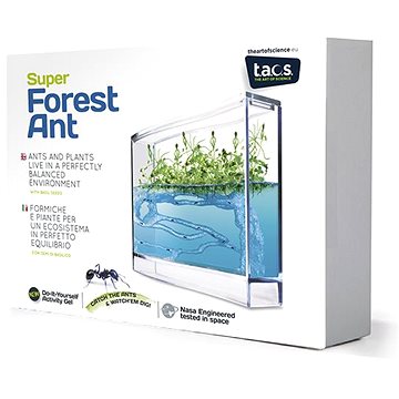 

Super Forest Ant Ecoterrarium