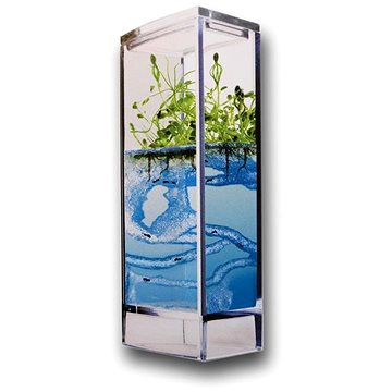 

Forest Ant Mini Antquarium