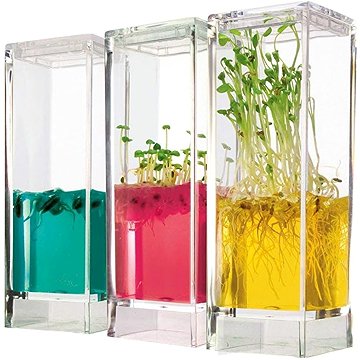 

T.A.O.S. Plantarium Garden LAB