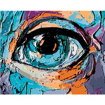 

Abstraktní oko mladé dívky, 40×50 cm, vypnuté plátno na rám