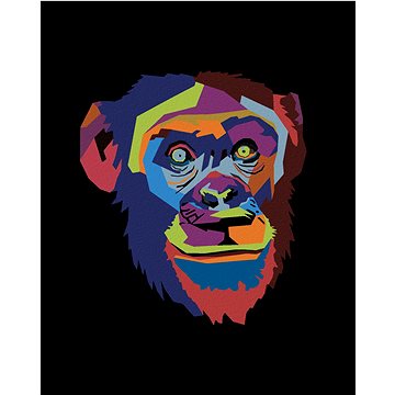 

Abstraktní pop-art opice na černém pozadí, 80×100 cm, vypnuté plátno na rám
