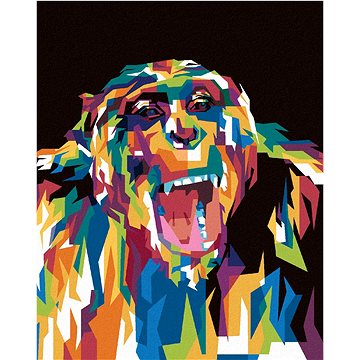 

Barevná gorila, 40×50 cm, vypnuté plátno na rám