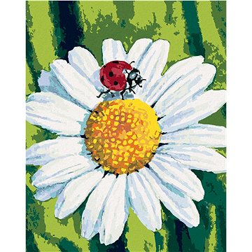 

Beruška na heřmánku, 40×50 cm, bez rámu a bez vypnutí plátna