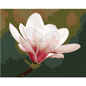 

Bílá magnólie, 80×100 cm, bez rámu a bez vypnutí plátna