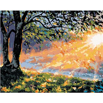

Brzké ráno v lese, 80×100 cm, bez rámu a bez vypnutí plátna