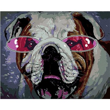 

Buldoček s růžovými brýlemi, 40×50 cm, vypnuté plátno na rám