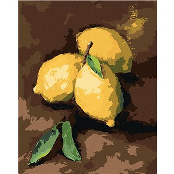 

Citróny, 40×50 cm, bez rámu a bez vypnutí plátna