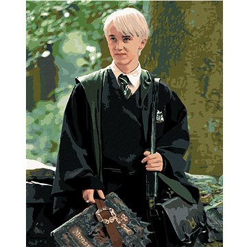 

Draco s obludáriem (Harry Potter), 40×50 cm, bez rámu a bez vypnutí plátna