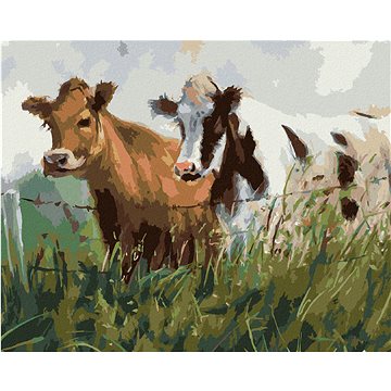 

Dvě krávy v ohradě, 80×100 cm, bez rámu a bez vypnutí plátna