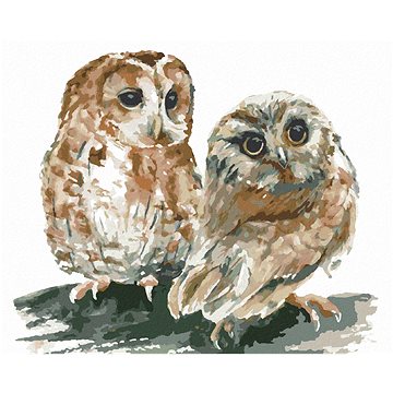 

Dvě sovy na bílém pozadí, 40×50 cm, bez rámu a bez vypnutí plátna