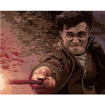 

Harry Potter v souboji s Voldemortem, 40×50 cm, bez rámu a bez vypnutí plátna